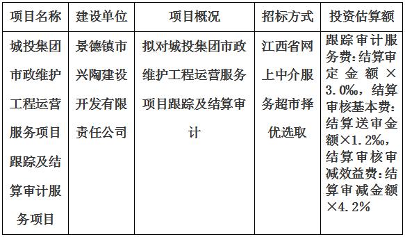 城投集團市政維護工程運營服務(wù)項目結(jié)算審計服務(wù)項目計劃公告