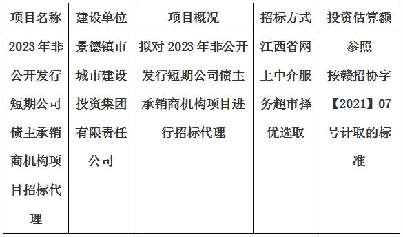 2023年非公開發(fā)行短期公司債主承銷商機(jī)構(gòu)項目招標(biāo)代理計劃公告