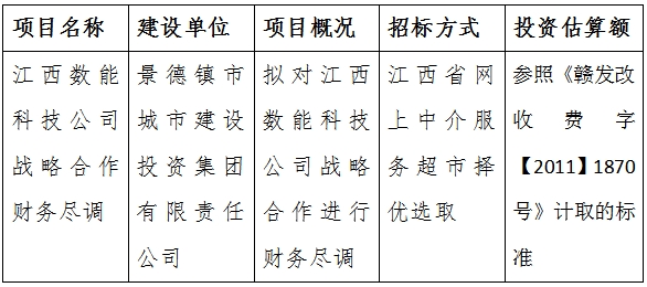 江西數(shù)能科技公司戰(zhàn)略合作財(cái)務(wù)盡調(diào)計(jì)劃公告