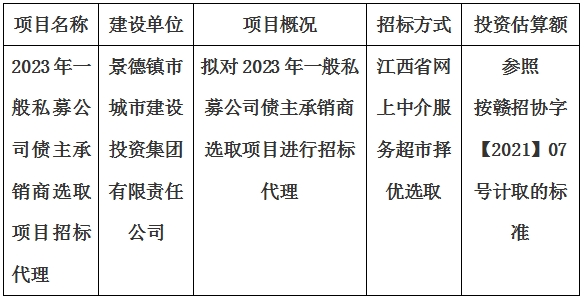 2023年一般私募公司債主承銷(xiāo)商選取項(xiàng)目招標(biāo)代理計(jì)劃公告