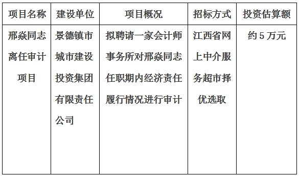 邢焱同志離任審計(jì)項(xiàng)目計(jì)劃公告