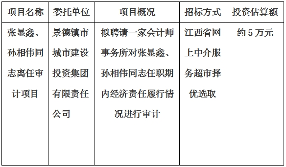 張顯鑫、孫相偉同志離任審計項目計劃公告