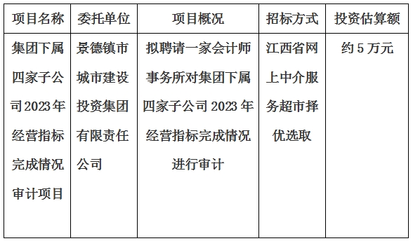 集團(tuán)下屬四家子公司2023年經(jīng)營指標(biāo)完成情況審計項目計劃公告