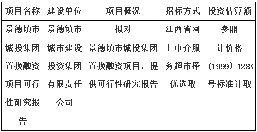 景德鎮(zhèn)市城投集團(tuán)置換融資項(xiàng)目可行性研究報告計(jì)劃公告