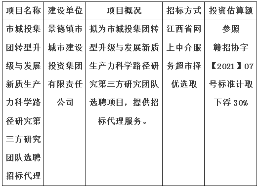 市城投集團(tuán)轉(zhuǎn)型升級(jí)與發(fā)展新質(zhì)生產(chǎn)力科學(xué)路徑研究第三方研究團(tuán)隊(duì)選聘招標(biāo)代理計(jì)劃公告