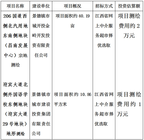 景德鎮(zhèn)市206國(guó)道西側(cè)北汽用地東南側(cè)地塊（昌南發(fā)展中心）宗地測(cè)繪項(xiàng)目及迎賓大道北側(cè)外國(guó)語(yǔ)學(xué)校東側(cè)地塊（迎賓大道29號(hào)地塊）地形測(cè)繪項(xiàng)目計(jì)劃公告